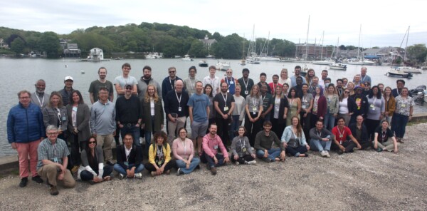 Early Career Mentoring Program