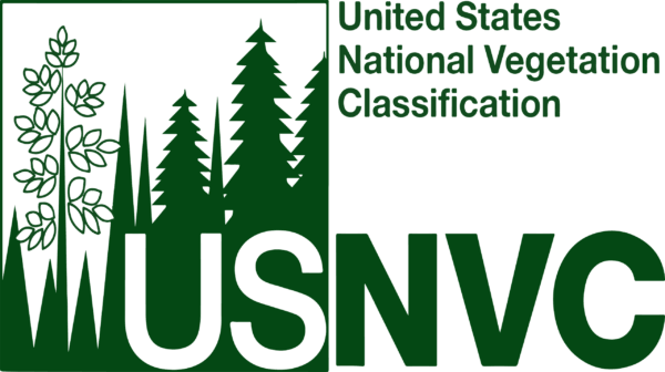 Developing the NVC