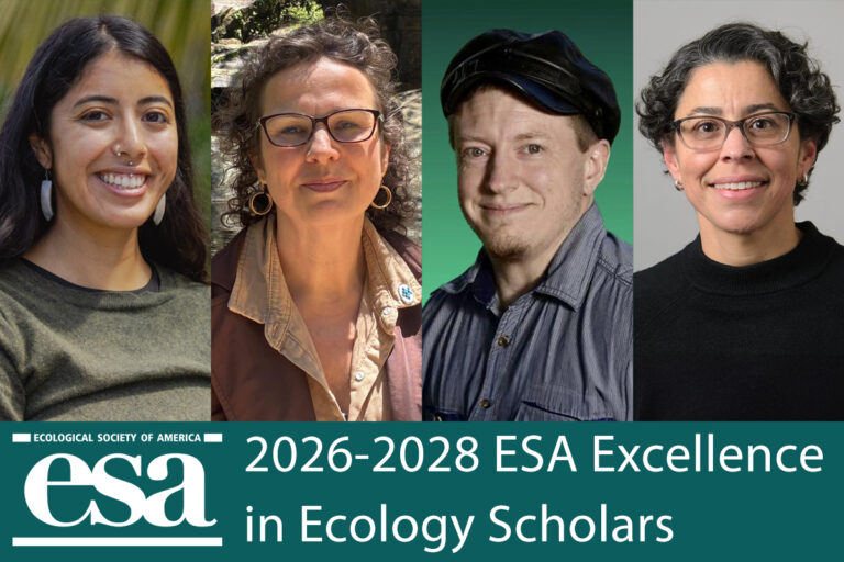 Images of the 2026-2028 EEE Scholars
